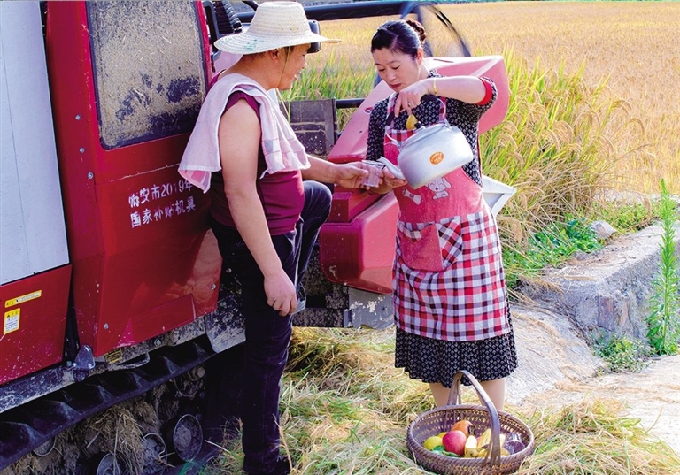 5000元耕地机_100亩要用什么样的耕地机多少钱_耕田机要多少钱