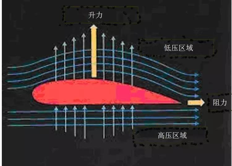 龙珠真武道会_龙珠z真武道会af_龙珠真武道会2怎么飞