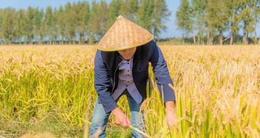 三八线最后的老头是谁-三八线上的神秘老头：传说中的守护者