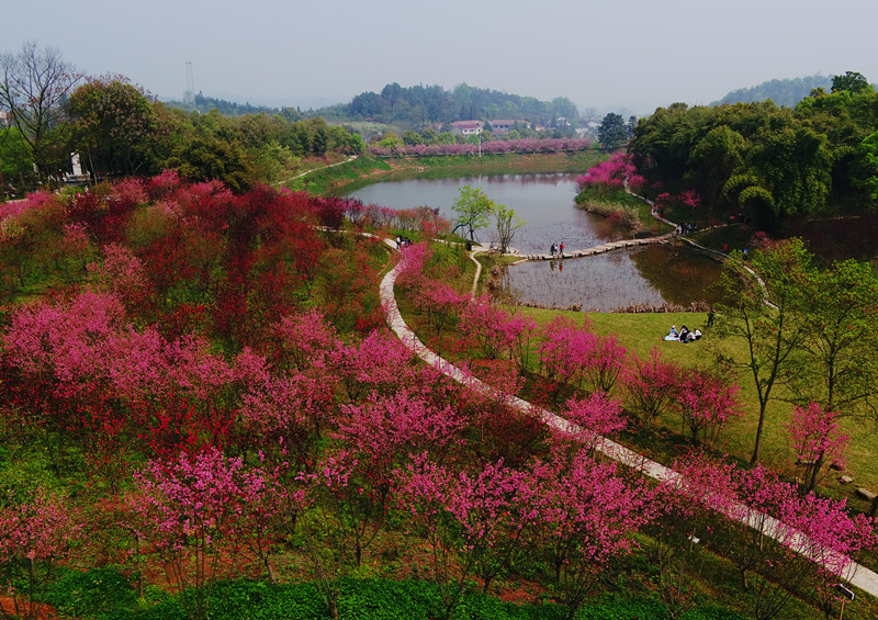 桃花源记副本攻略_桃花源记手游几点刷新任务_桃花源记野外boss刷新时间