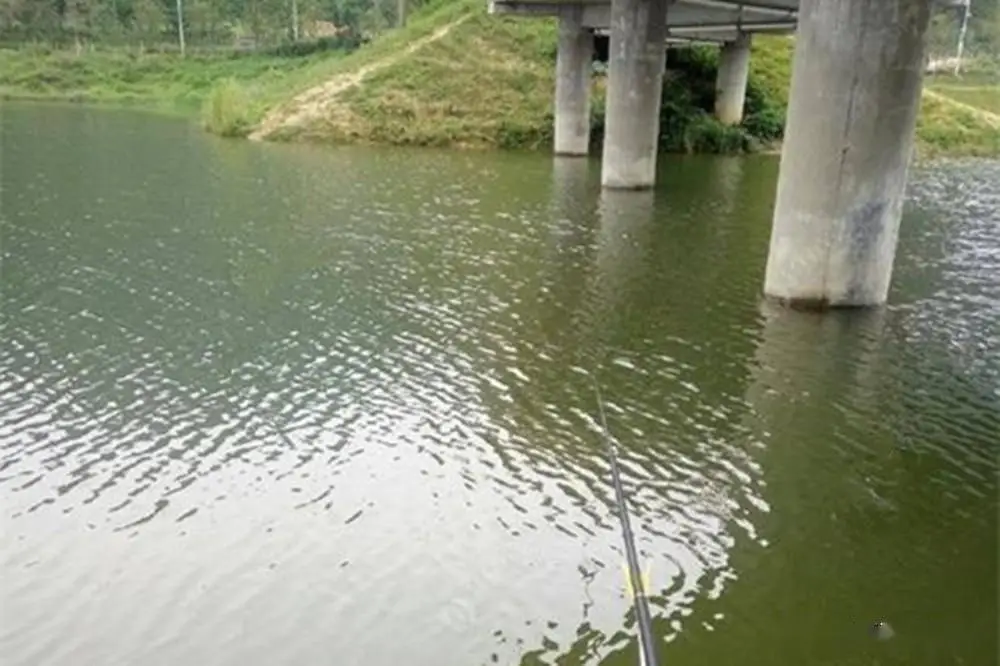 暴雨过后钓鱼怎么样_暴雨钓鱼_暴雨第二天好钓鱼吗?