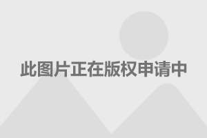 德系金币中坦_德系金币中坦58m_德系可玩性金币重坦