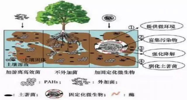 杀死微生物的方法_杀灭微生物的方法有哪些_灭杀微生物的方法有哪些