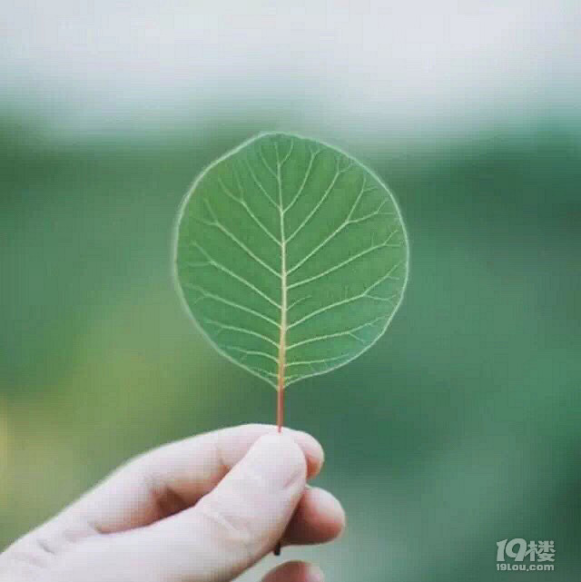 带着空间重生回到小时候19楼_重生之重回侯府_重生之重回候府