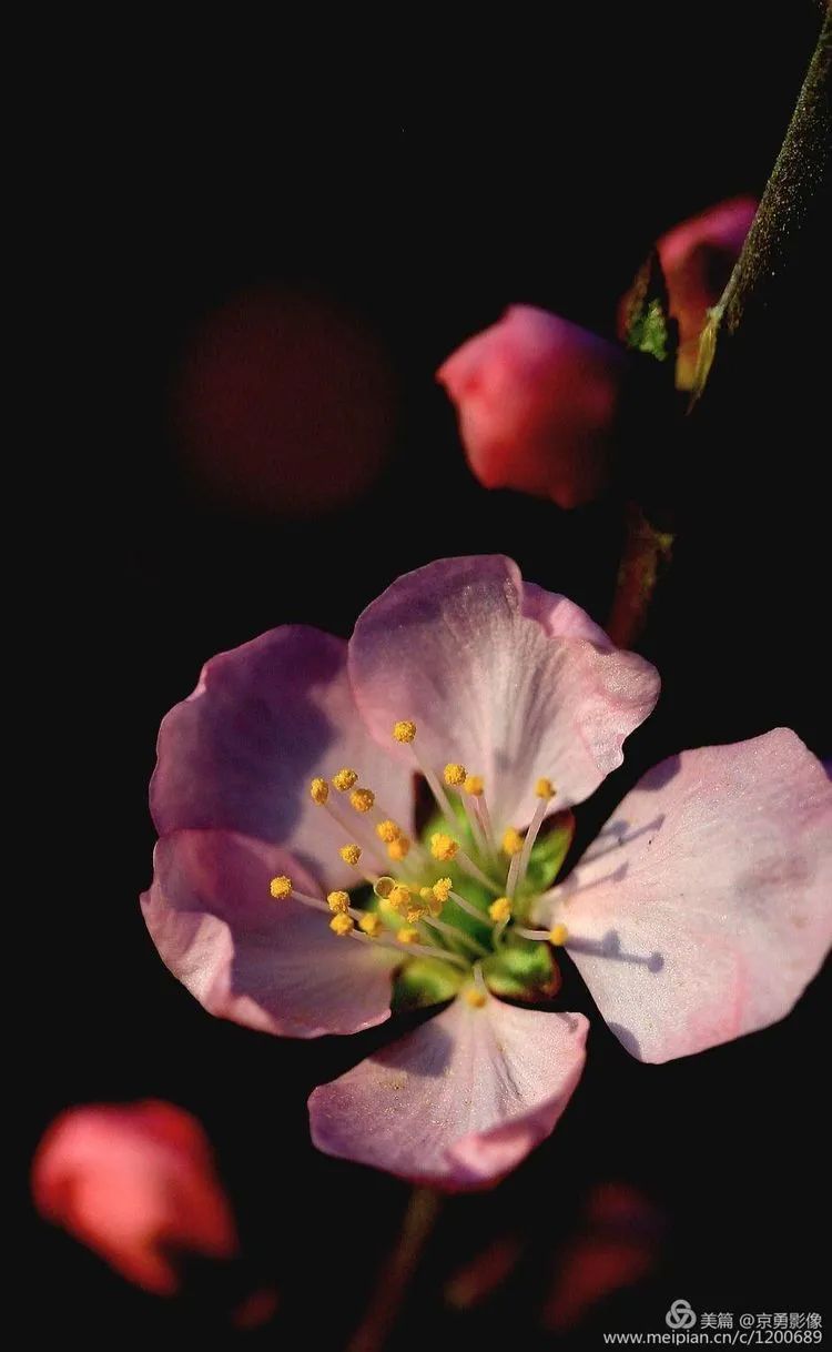 花园的乐趣_花园的乐趣游戏在线玩_花园乐趣多作文