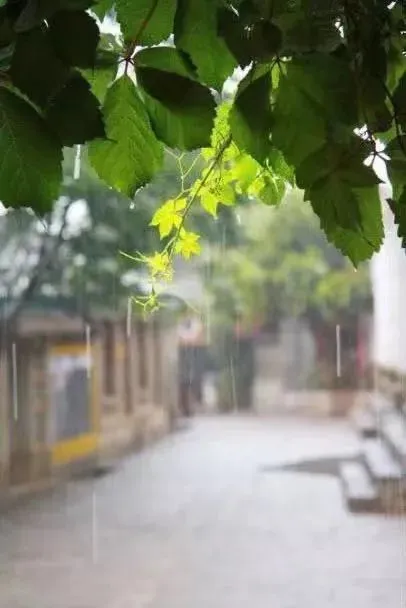 网游之烟雨朦胧色txt_朦胧烟雨的小说_烟雨朦胧时的小说