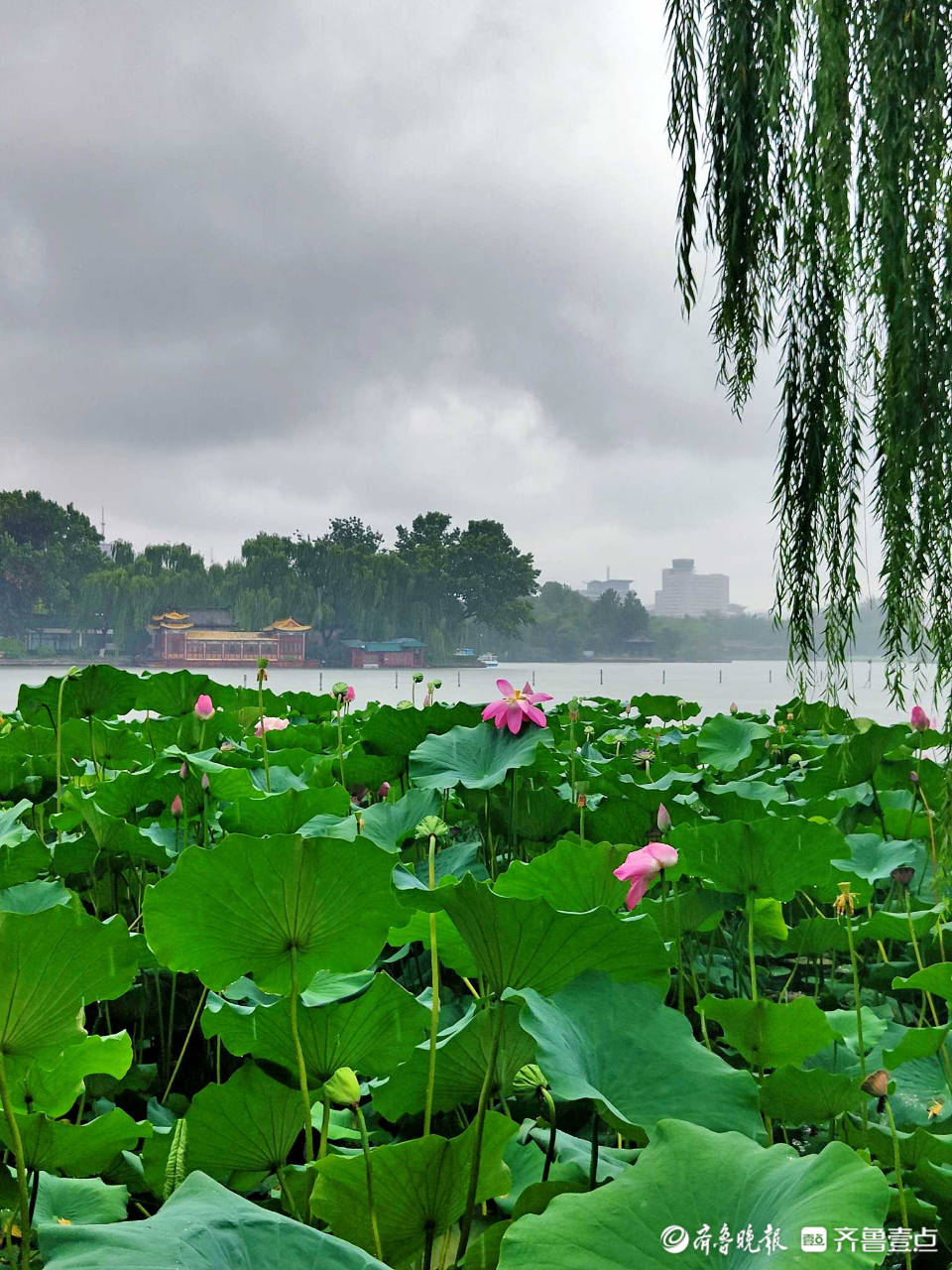 网游之烟雨朦胧色txt_朦胧烟雨的小说_烟雨朦胧时的小说