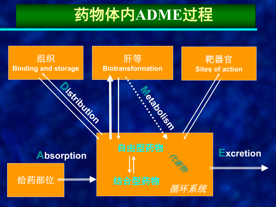 药代动力学模拟参数_药物动力学模型_药代动力学模型的选择