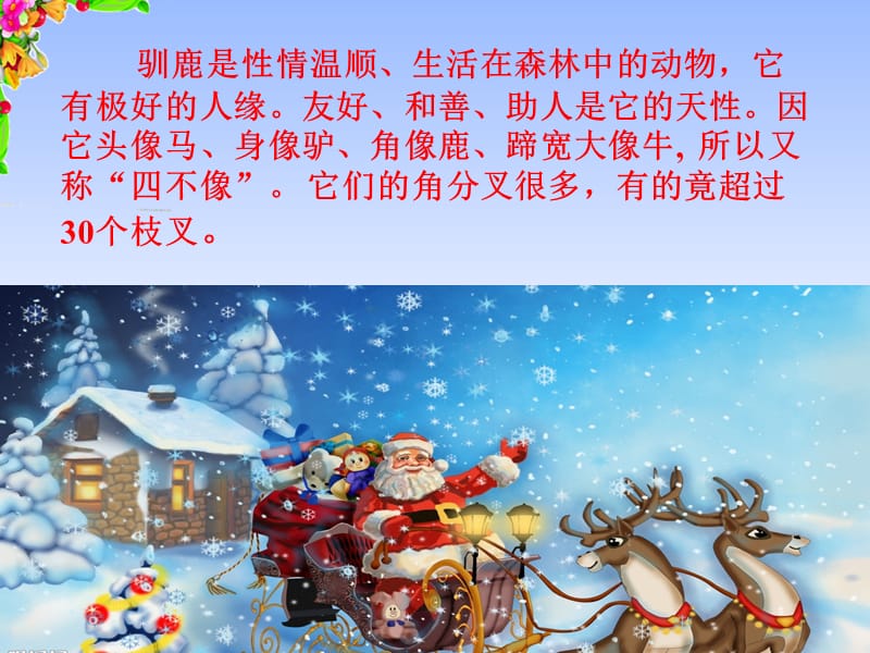 会走路的树健康小班教案_大班会走路的树教案_会走路的树教案