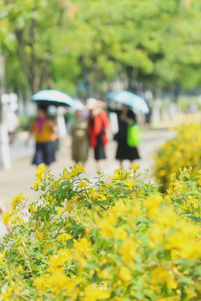 连衣裙夏装新款_连衣裙 夏款_夏季爆款连衣裙