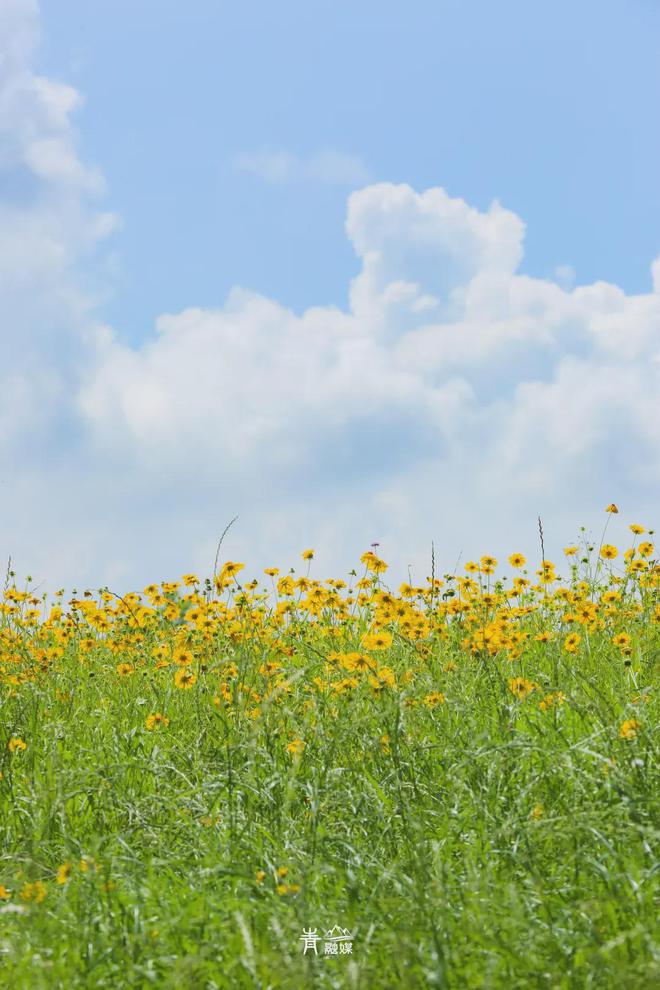 连衣裙夏装新款_夏季爆款连衣裙_连衣裙 夏款