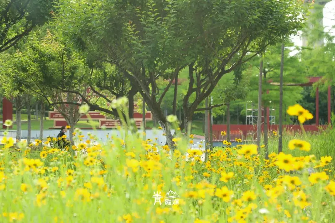 连衣裙 夏款_连衣裙夏装新款_夏季爆款连衣裙