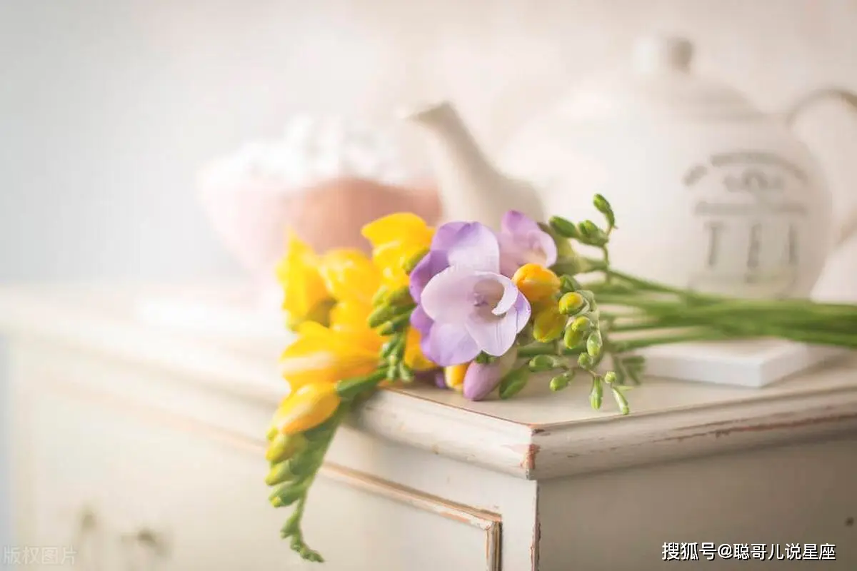 动漫推荐榜单_bl 动漫推荐_动漫推荐bilibili