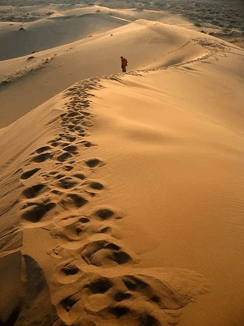 职业目标大体路线图_职业线路及规划_职业路径目标