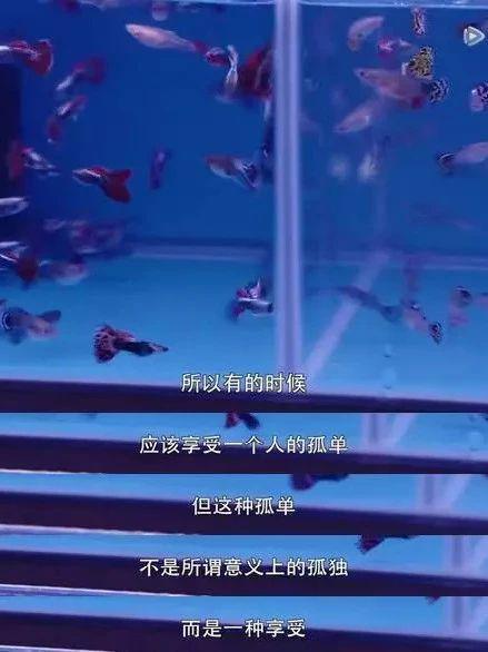 一个人做的100件事_个人一百问_一个人做100件事情