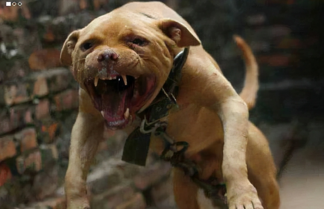 现代人必备基本技能_现代人必备的生活技能_现代人生活必备100技能