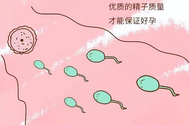 斗战神牛头人技能加点_斗战神牛头学徒怎么样_斗战神宝宝牛头学徒