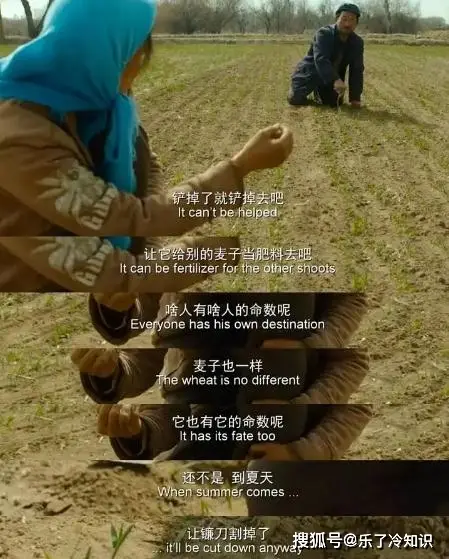泽诺尼亚4中文变态版_泽诺尼亚4中文变态版_泽诺尼亚4中文变态版