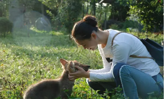 高手杀羊视频全过程_有杀羊的视频_高手女人杀羊视频