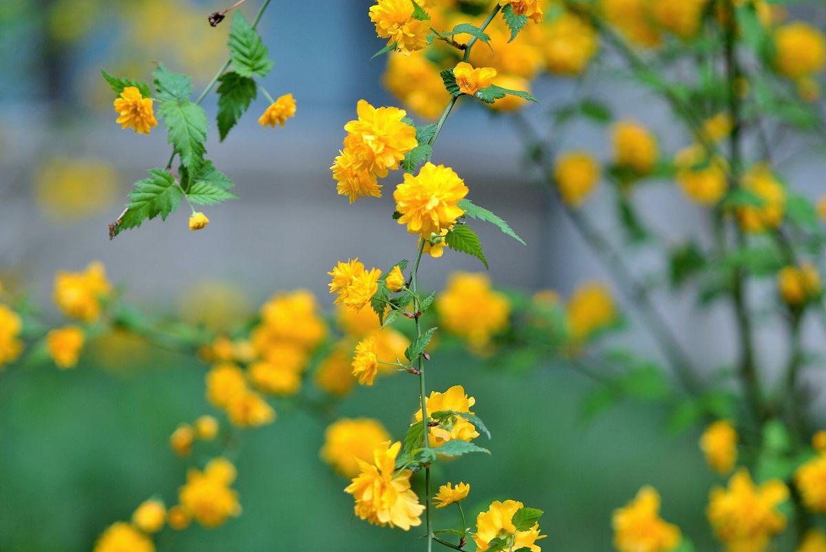 节操测试给钱_节操测试题_qq空间节操测试