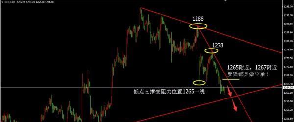 行尸走肉游戏破解版_行尸走肉游戏破解内购_行尸走肉破解版无限金币下载