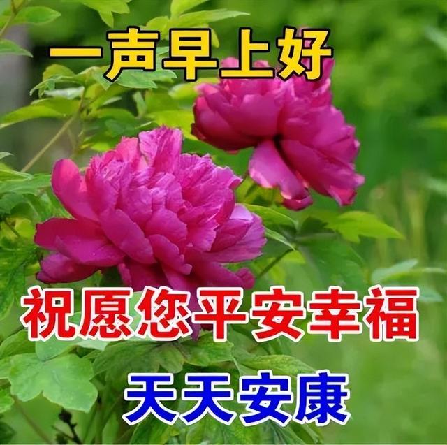 他是我的好朋友500字_好朋友500字作文_好朋友优秀作文10篇