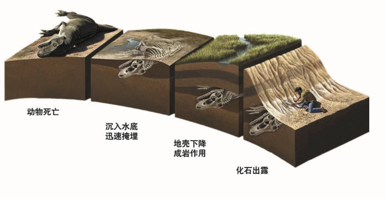 学校金点子合理化建议_学校建议金点子100条_给学校的金点子建议