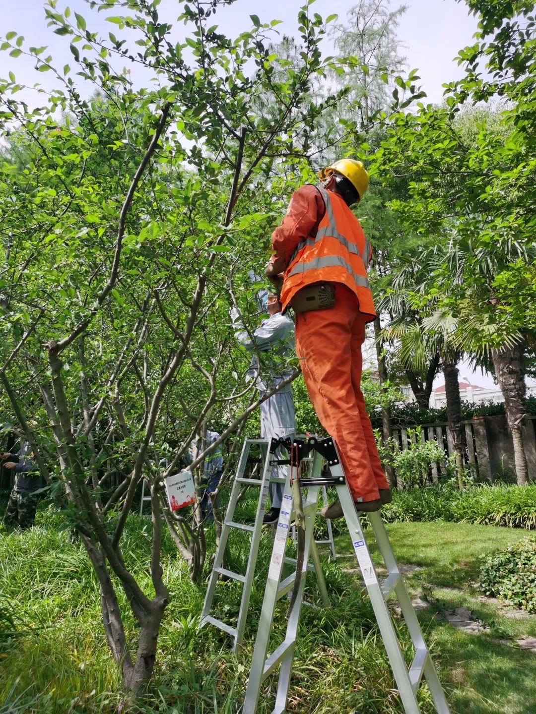 台州职业技术培训学校_台州职业技校_台州职技校