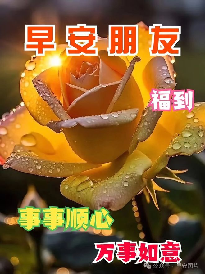 关于春天的节日的日记_春节日记春天日记_日记节日春天怎么写