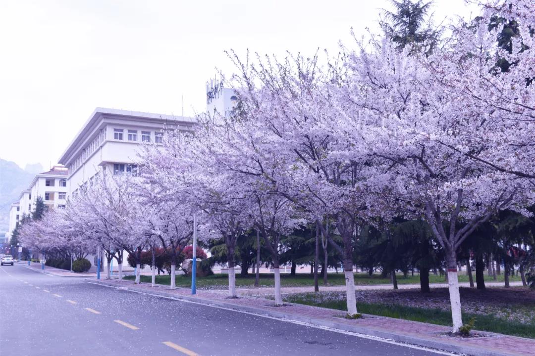 母鸡下蛋亲子游戏规则_母鸡下蛋亲子游戏规则_母鸡下蛋亲子游戏规则