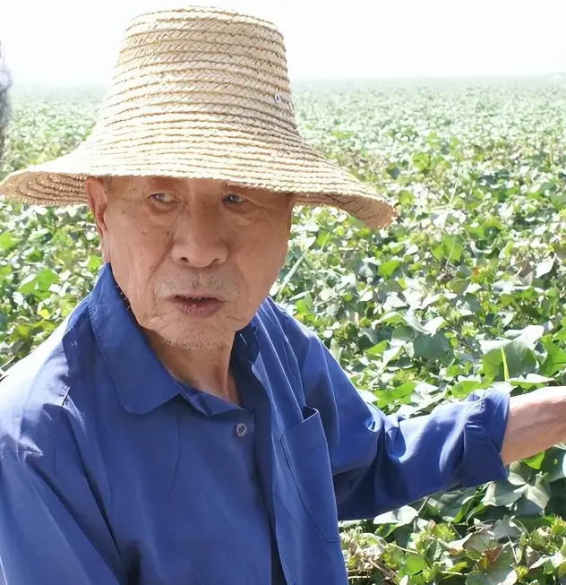 李卫当官第三部大内低手_李卫当官之大内低手百度百科_李卫当官之大内低手演员表