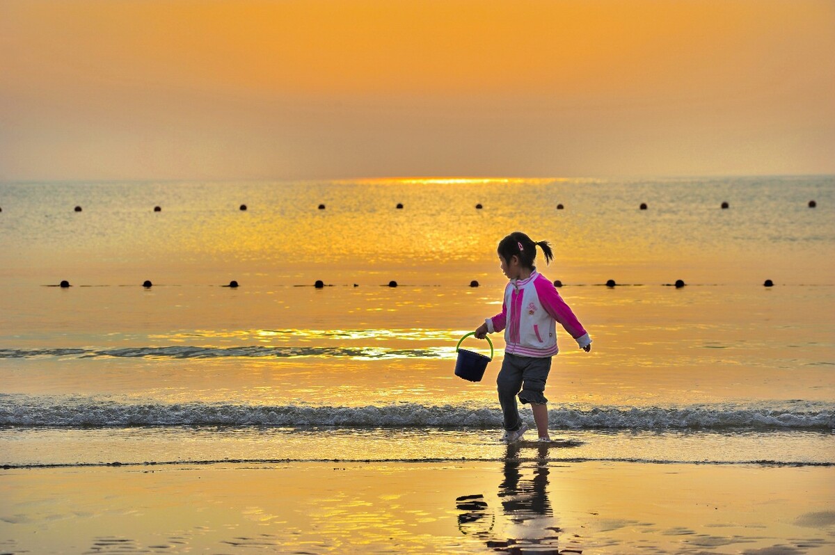 夏日海边贝壳简笔画_海上的贝壳怎么画_海边贝壳怎么画