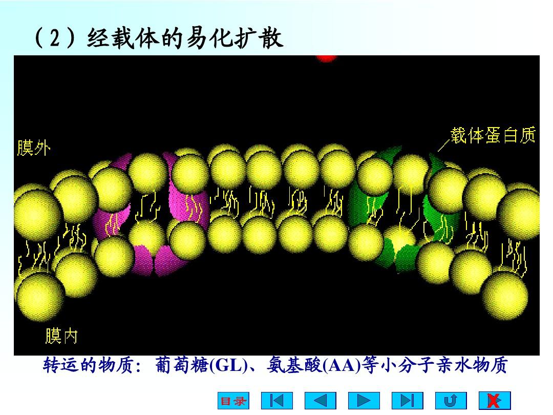 b细胞不具有的功能_细胞功能取决于什么_细胞功能不包括