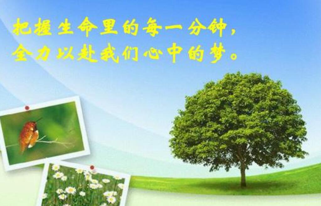网聊卡600分钟是怎么用_网聊卡600分钟是怎么用_网聊卡600分钟是怎么用