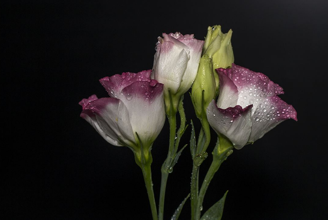 震颤性发作_震颤性发抖_特发性震颤要多少钱