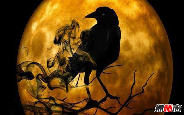 sf123前期修真赚钱好地方_修真赚钱的小说_sf123前期修真赚钱好地方