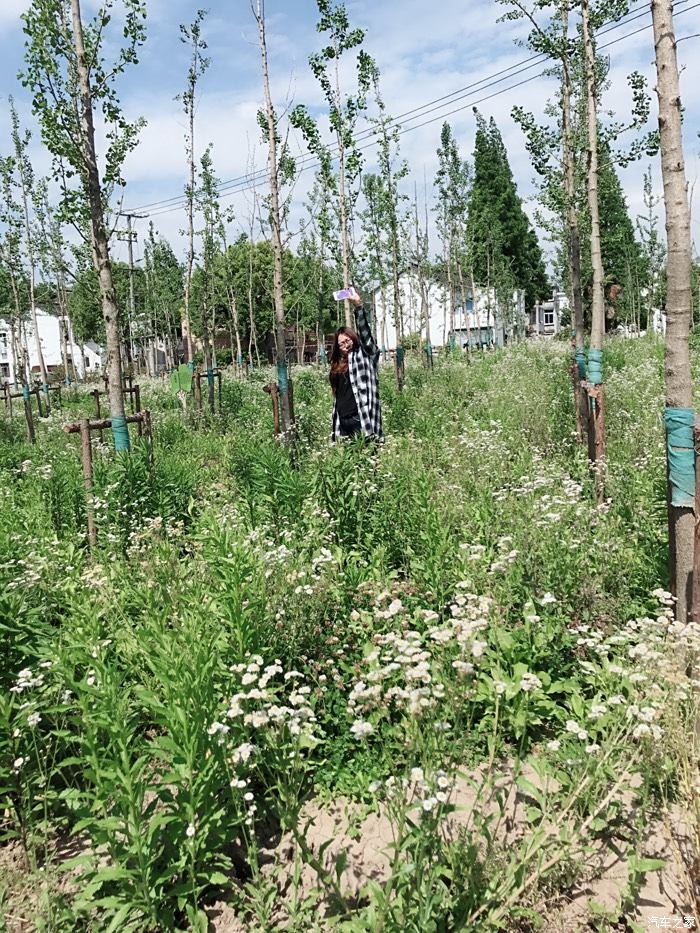 解压车还需要手续费吗_全款解压车是什么意思_什么叫解压车辆