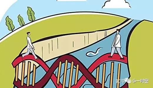 梁下加柱子会影响负弯矩吗_大梁下面加柱子有力吗_梁下后加柱子视频