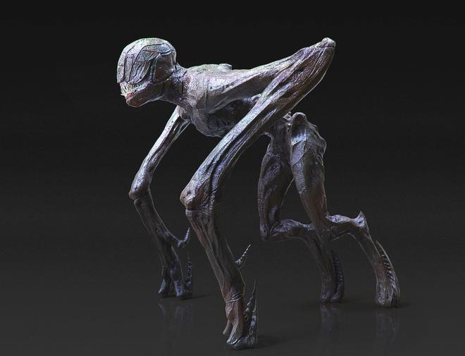 小说轻狂简介_the new gate轻小说_私藏浪漫小说轻