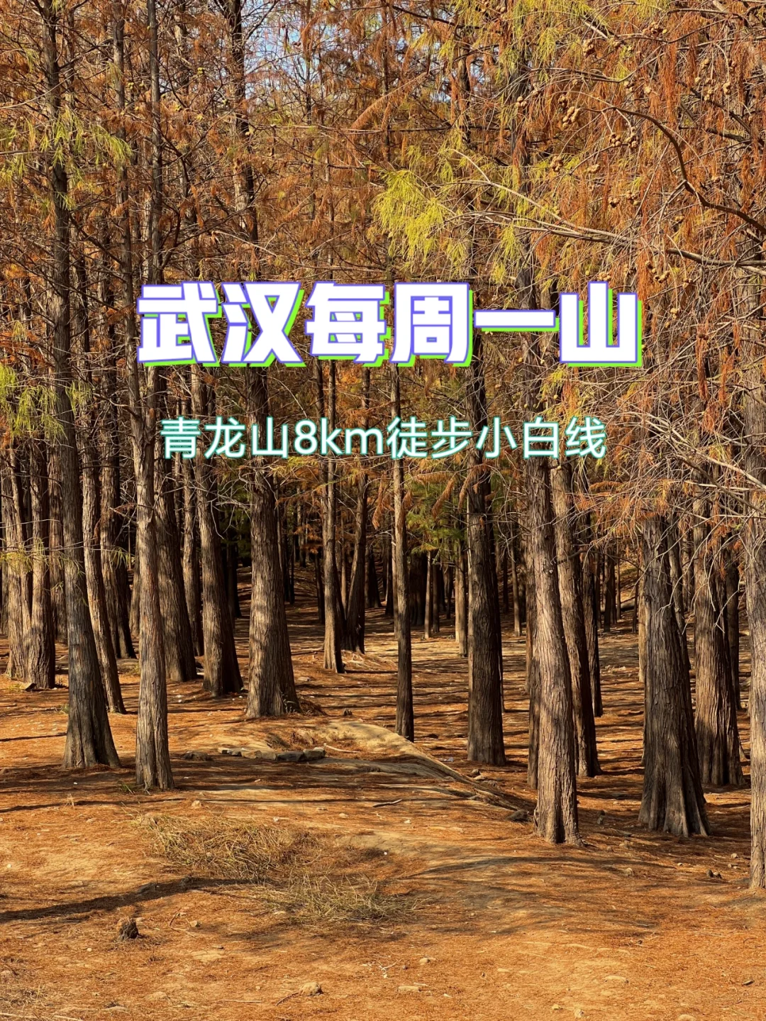 逃出青龙山 文字稿_逃出青龙山游戏_逃出青龙山下载