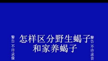 科学养蝎子技术_科学养蝎实用技术200问_养蝎技术指导