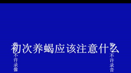 科学养蝎实用技术200问_科学养蝎子技术_养蝎技术指导