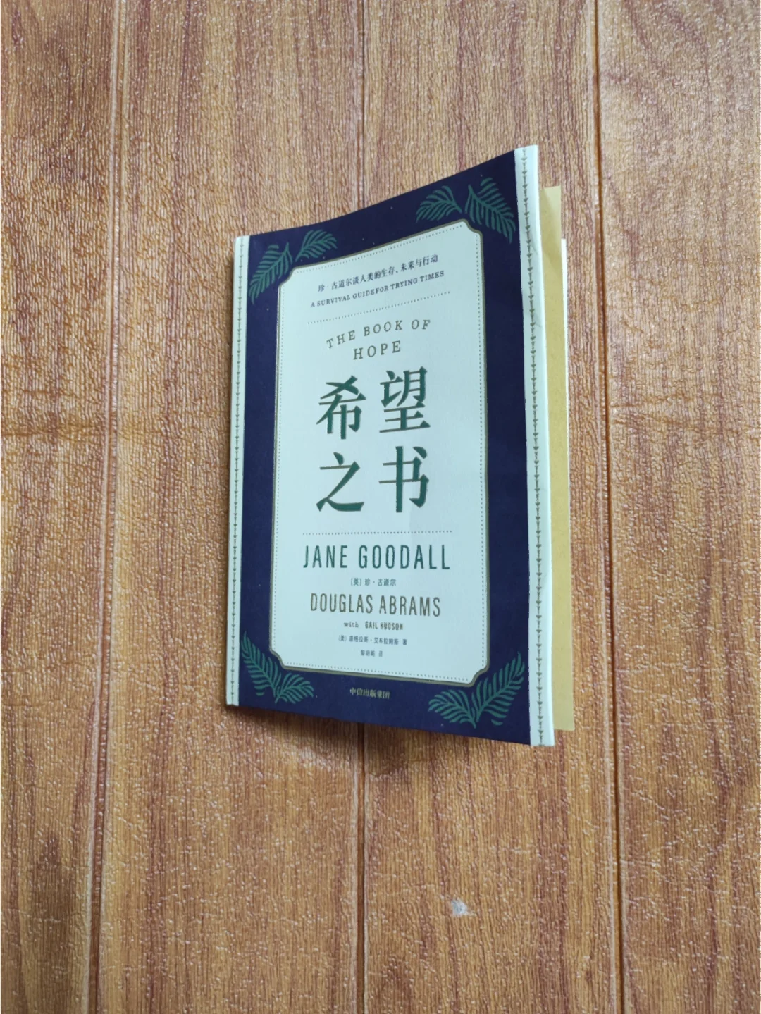 完全有界 可分_完全有界的距离空间是可分的_完全有界一定有界