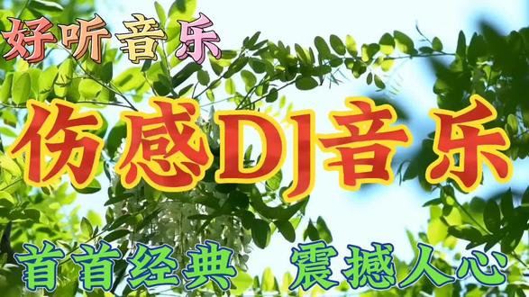 这首歌曲叫什么字_这首歌的字歌叫什么_两个字的歌曲dj版