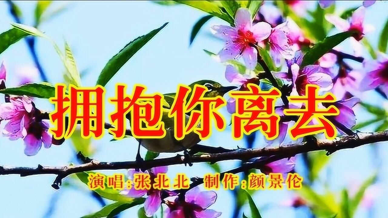 这首歌曲叫什么字_这首歌的字歌叫什么_两个字的歌曲dj版