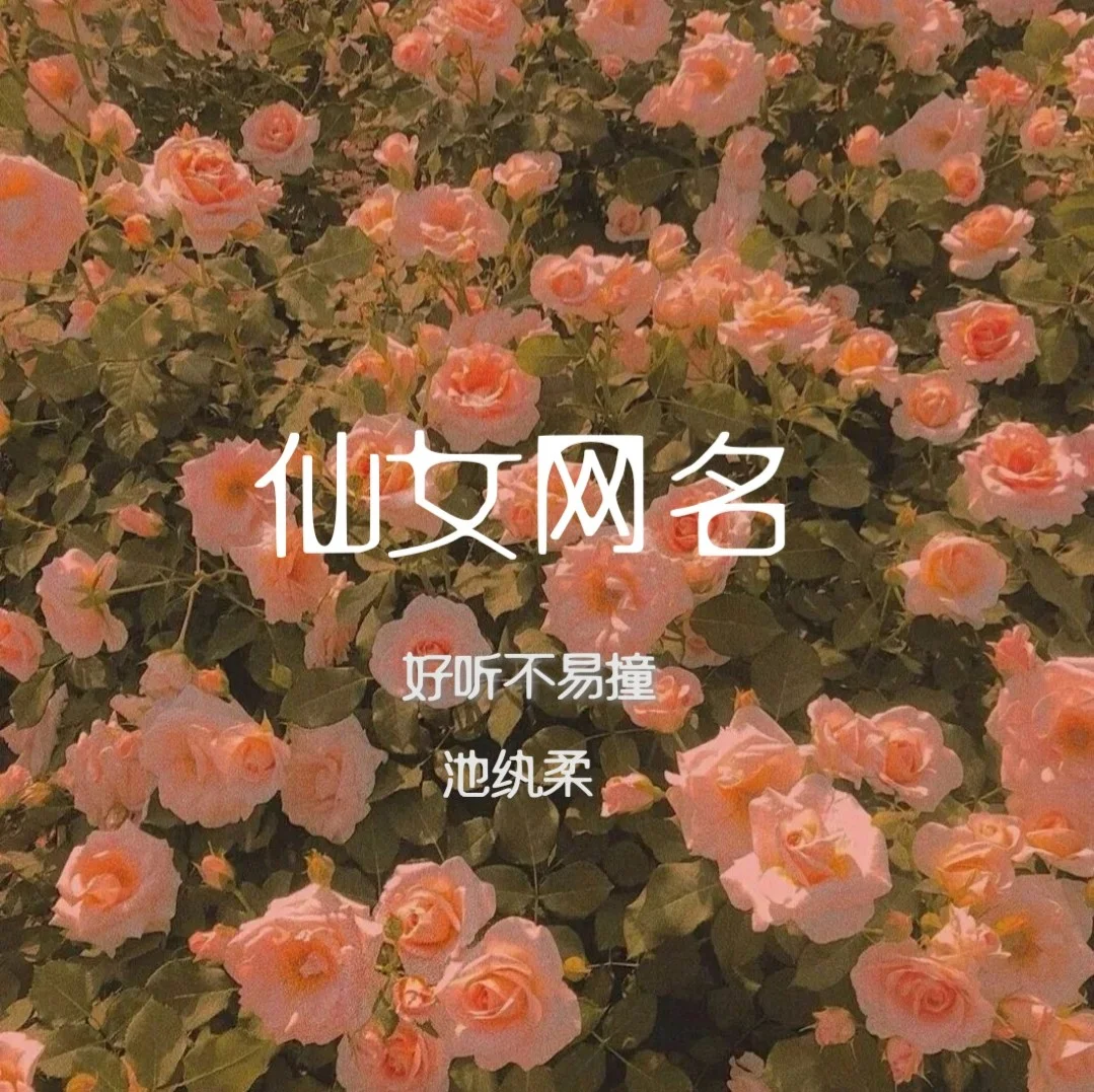 两个字好看的游戏网名_好看得游戏网名_网名好看字游戏女生