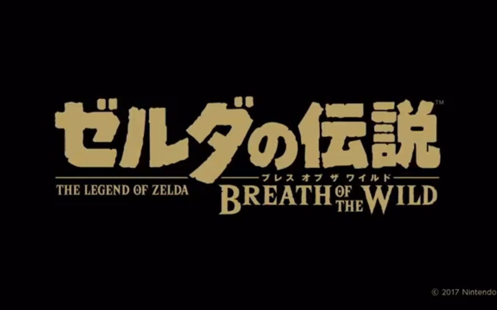 漏洞英文bug_zelda漏洞_漏洞扫描