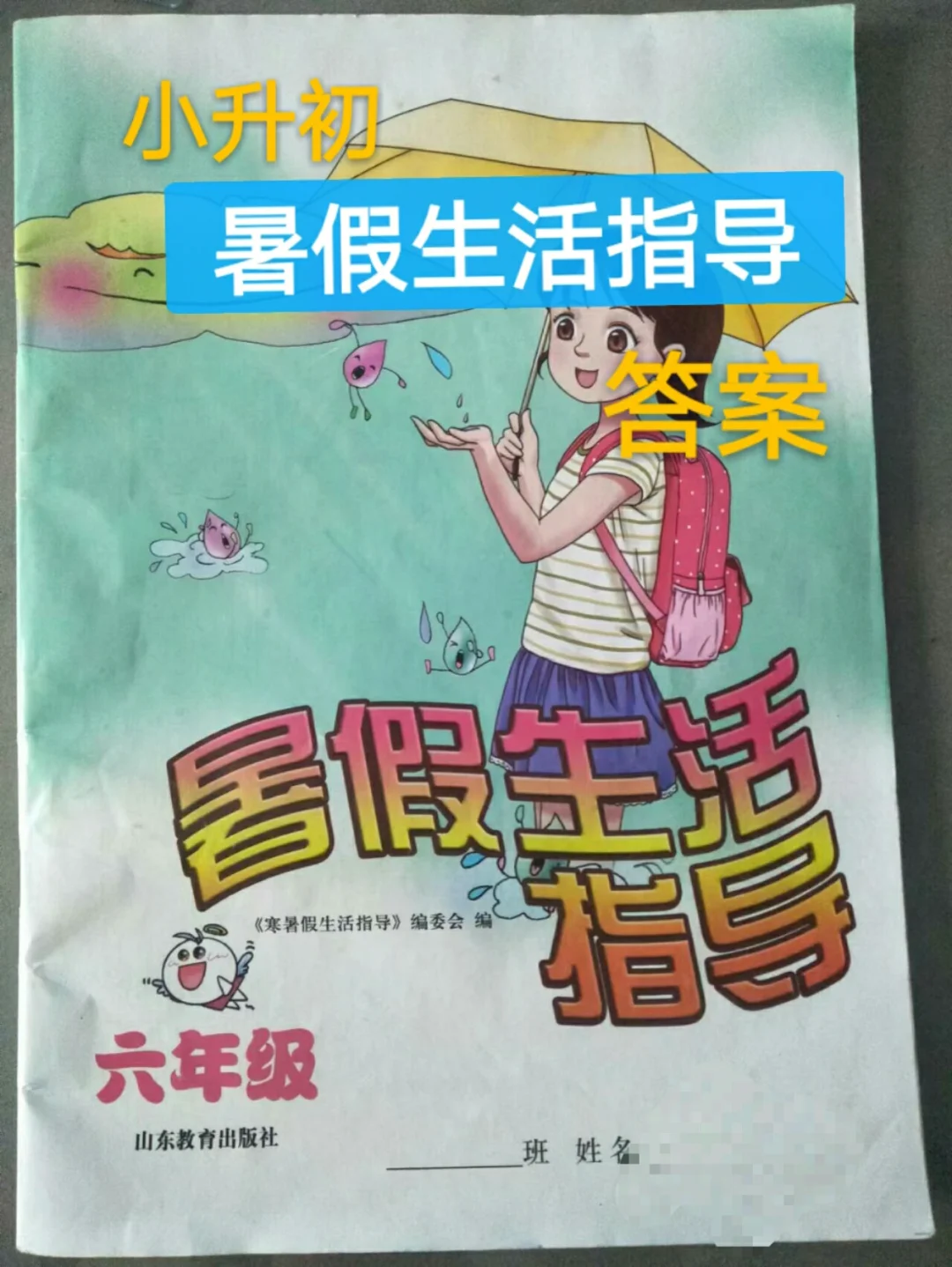 七年级暑假答案_青岛版七年级暑假生活指导答案_2024 七年级下册暑假生活指导答案 青岛版