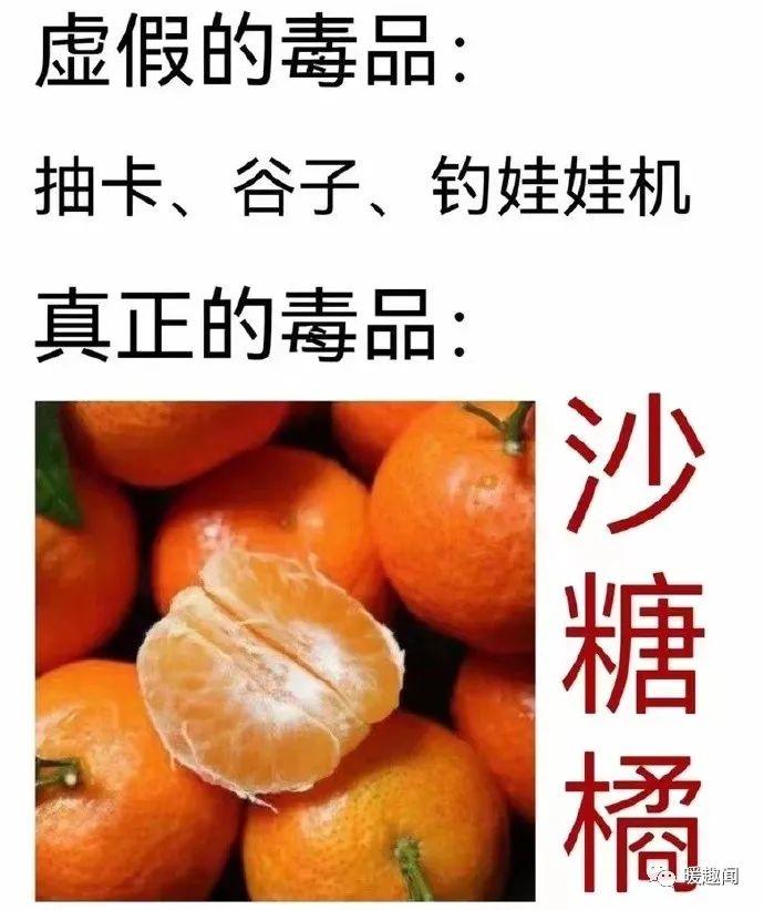 听口令做动作游戏规则_听口令做动作游戏_听口令规则动作做游戏视频