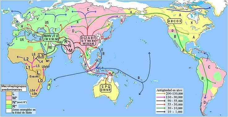 人类进化史动画-人类进化史：从猿猴到智人的奇妙旅程